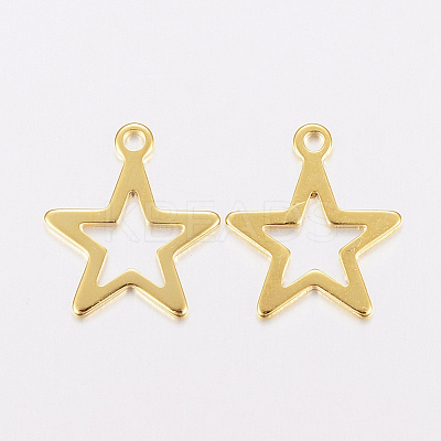 201 Stainless Steel Charms STAS-F162-13G-1