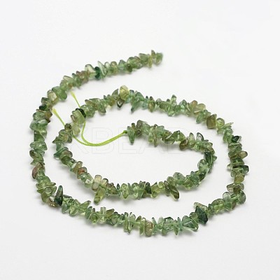 Chips Natural Green Apatite Beads Strands X-G-N0164-26-1