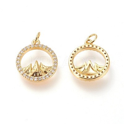 Brass Micro Pave Clear Cubic Zirconia Charms X-ZIRC-L098-025G-1