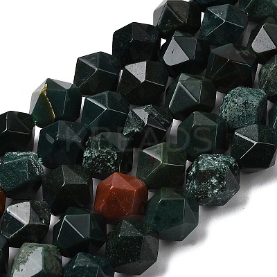 Natural Bloodstone/Heliotrope Beads Strands G-Z119-A16-03-1