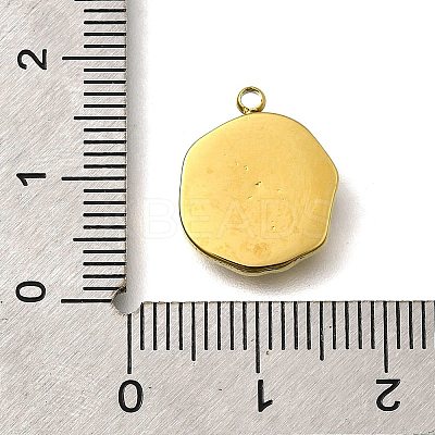 304 Stainless Steel Pendants STAS-R153-03G-01-1