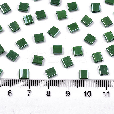 FGB 2-Hole Glass Seed Beads SEED-S031-L-ST127-1