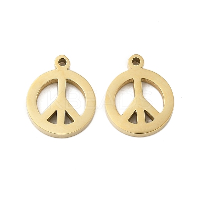 304 Stainless Steel Charms STAS-L022-137G-1