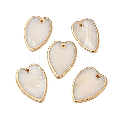 Natural Freshwater Shell Pendants SHEL-M021-15G-1