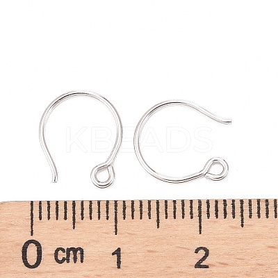 Rhodium Plated 925 Sterling Silver Earring Hooks STER-N0001-028S-1