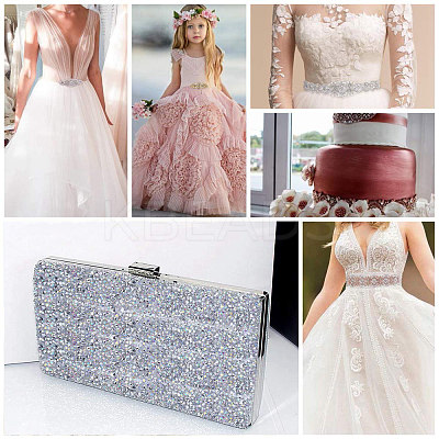 Glitter Resin Hotfix Rhinestone(Hot Melt Adhesive On The Back) OCOR-WH0052-01D-1