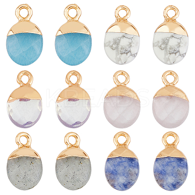 12Pcs 6 Styles Electroplated Natural & Synthetic Mixed Gemstone Faceted Oval Charms G-FH0002-15-1