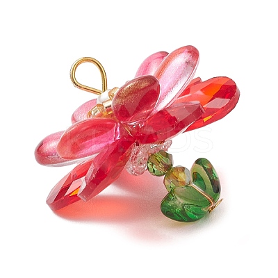 Glass & Acrylic Pendantns PALLOY-MZ01163-02-1