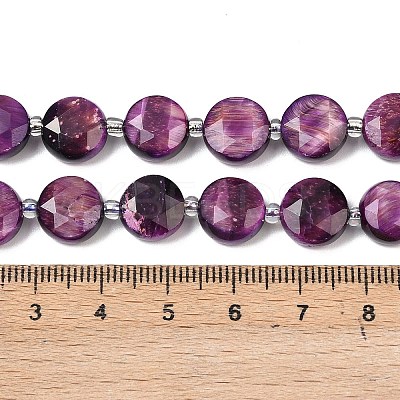 Natural Tiger Eye Beads Strands G-F812-C09-01D-1