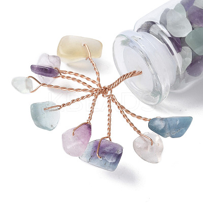 Natural Fluorite Chips Tree Decorations DJEW-P021-E03-1