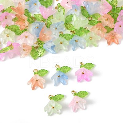 50Pcs Transparent Acrylic Pendants PALLOY-FS00043-01-1