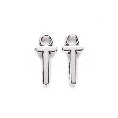 Tibetan Style Alloy Pendants X-TIBE-S108-108T-AS-RS-1
