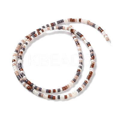 Handmade Lampwork Beads Strands LAMP-L078-008J-1