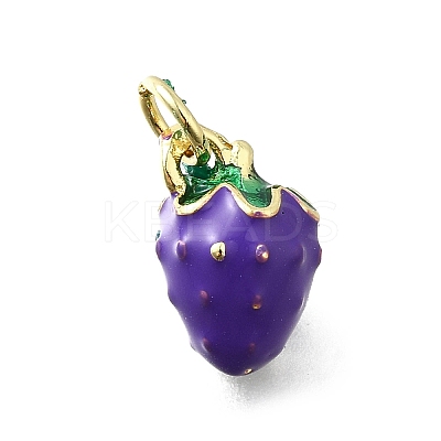 Brass with Enamel Charms KK-Q066-01L-G-1