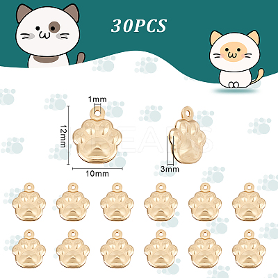 30Pcs 304 Stainless Steel Charms STAS-UN0045-83-1