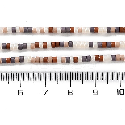 Handmade Lampwork Beads Strands LAMP-L078-008J-1