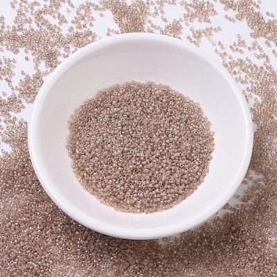 MIYUKI Delica Beads X-SEED-J020-DB0069-1