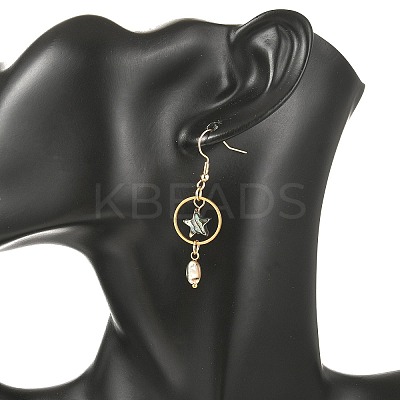 Natural Paua Shell & Stainless Steel Dangle Earrings for Women EJEW-JE07076-01-1