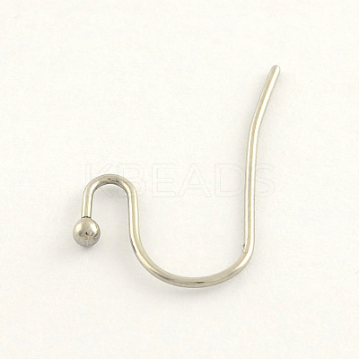 Tarnish Resistant 304 Stainless Steel Earring Hooks STAS-R063-34-1