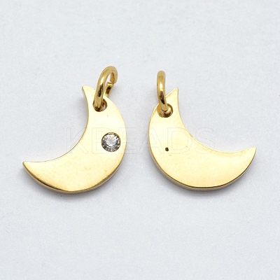 316 Surgical Stainless Steel Pendants STAS-J038-10G-1