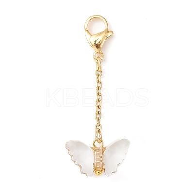 Transparent Acrylic Butterfly Pendant Decoration HJEW-JM01172-1