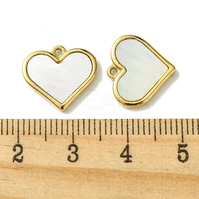 Ion Plating(IP) 304 Stainless Steel Pave Shell Heart Charms FIND-Z028-22G-1