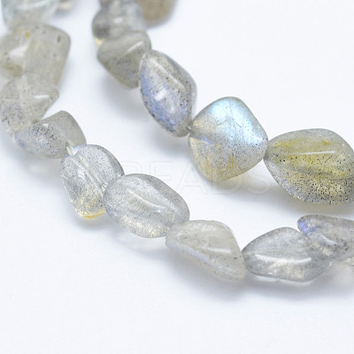Natural Labradorite Beads Strands LS-G-K203-12-1