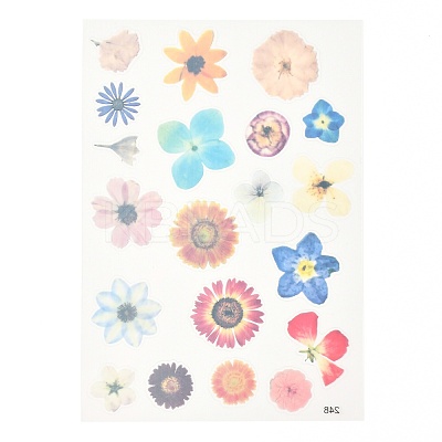 Waterproof Plastic Self Adhesive Stickers DIY-F064-13E-1