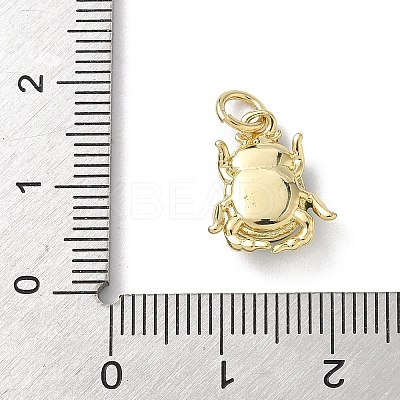 Insect Themes Brass Enamel Charms KK-B155-01B-02G-1