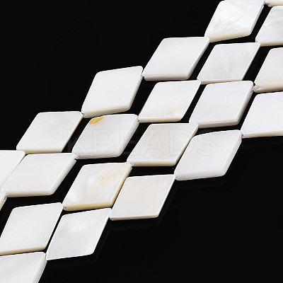 Natural Freshwater Shell Beads Strands SHEL-T020-13H-1