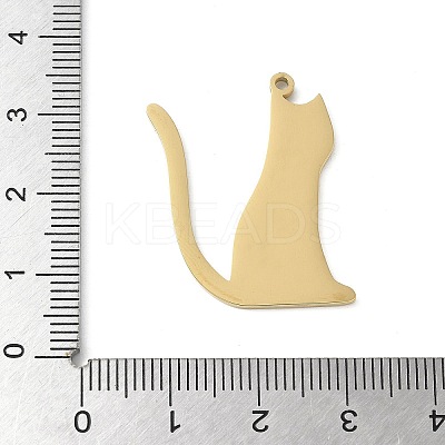 304 Stainless Steel Pendants LS-STAS-E501-13G-1
