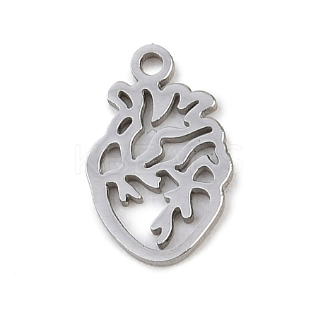 304 Stainless Steel Charms LS-STAS-Z183-05P-1