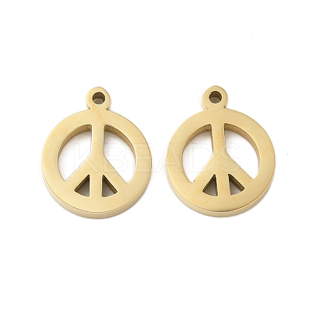 304 Stainless Steel Charms STAS-L022-137G-1