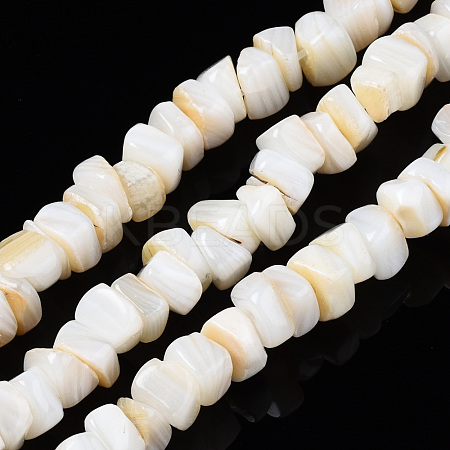 Natural Freshwater Shell Beads Strands SHEL-S278-042-1