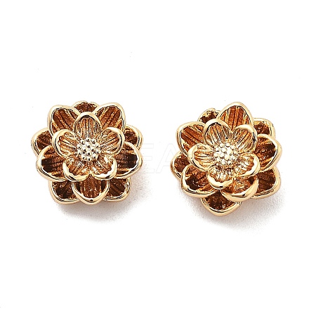 Brass Charms KK-L222-002G-1