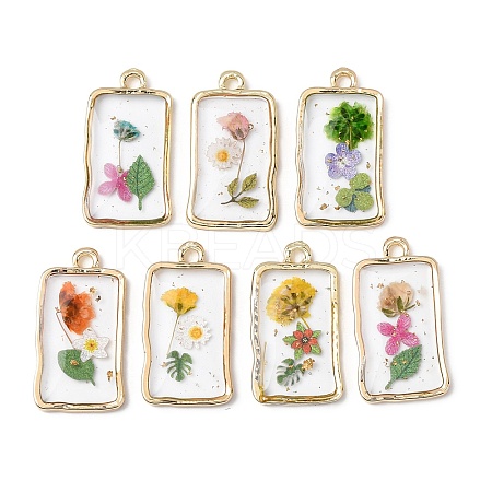 Transparent Resin Pendants RESI-A050-10A-G-1