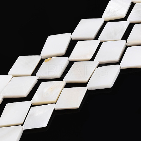 Natural Freshwater Shell Beads Strands SHEL-T020-13H-1