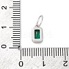 925 Sterling Silver Cubic Zirconia Charms STER-NH0014-01P-05-3