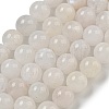Natural Rainbow Moonstone Beads Strands G-C068-8mm-1A-2