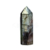 Point Tower Natural Labradorite Healing Stone Wands PW-WG88898-01-5