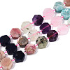 Natural Sodalite & Rhodonite & Prehnite & Amethyst & Rose Quartz & Flower Amazonite & Sunstone Beads Strands G-N358-03A-01-2