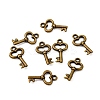 Gifts Ideas for Her Tibetan Style Alloy Charms MLF11975Y-NF-3