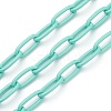 Eco-friendly Spray Painted Handmade Brass Paperclip Chains KK-J276-18-P04-1