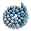 Natural Gemstone Beads Strands G-L367-01-12mm-6