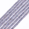 Natural Labradorite Beads Strands G-L581A-002-1