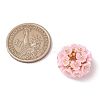 Resin Imitation Pearl Beads PALLOY-MZ01261-05-2