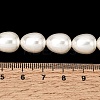 Electroplated Shell Pearl Beads Strands BSHE-B008-04-4