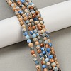 Dyed Natural Regalite/Imperial Jasper/Sea Sediment Jasper Beads Strands G-B124-C04-13-5