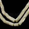 Natural White Shell Beads Strands X-SSHEL-D614C-1