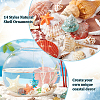 14 Styles Natural Shell Ornaments AJEW-PH0011-89-4